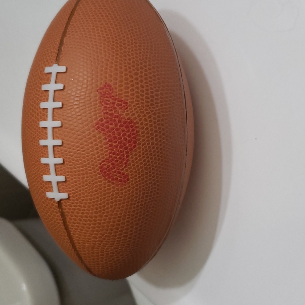 Rawlings watch in a football case